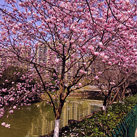 �������ǵ�����