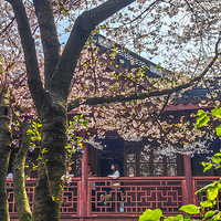 �����ӣ������лĻ��   2023.03.27