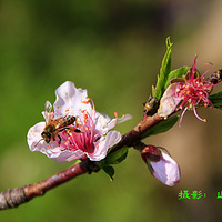 Ϊ��������۶�����������