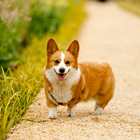 �����Ŀ���ʱ��