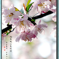 ���Ļ���