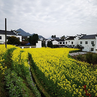 ������Ҷ���Ͳ˻�