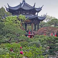 ���۹�԰ĵ��ͤ����ĵ������