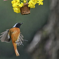 �������ı���β𶣨4��