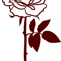 ����Ժ | ����һ����800������鹹����ľ糡��ʫƪ