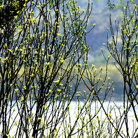 ������ϢŨŨ