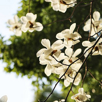 ����ʶ�ö����棬����ǧ�����Ǵ���