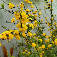 �ӱ�С�ƻ�һ��