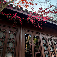 ���������·羰������������3.26 ��