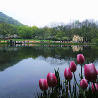 ҹɫ̫���壨�ϣ�