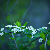 С�����ǰѡ����������ָ�����