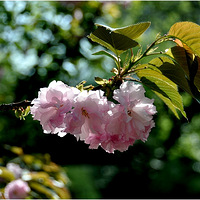 ��������6