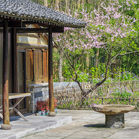 һ�˿���֮��