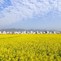 ��Ƕ�ڻ�������������