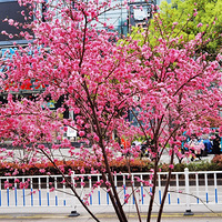 ·�ߵĹ����һ�