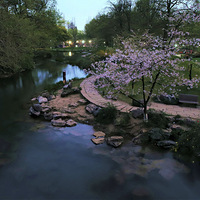 ҹɫ̫���壨�У�