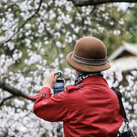 ��������