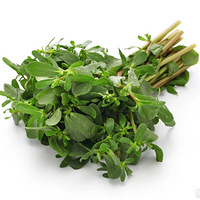 ������������ɱ�������ߴ�Ⱦ����6�ֳԷ����ղ�~