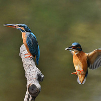 ����ʱ��