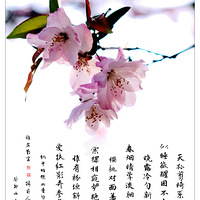 ʫ�黭�⡪�����ĺ���