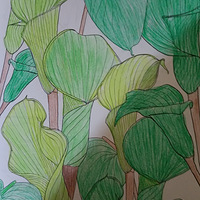 �������ʴ򿨣�