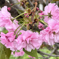 ���Ž���