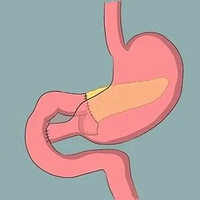 ֪�����ݲ��ţ����������ְ���������Ϊθ��