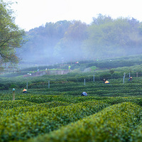 ���������ǰ��