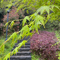 ����ɽ���ֻ�����