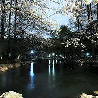 ҹɫ̫���壨�£�