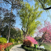 ���ղء���ʮ���Ժ��Ů����������أ�