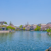 ��ӣ����������һ��������԰���뾰�����ζ�Ƴ�