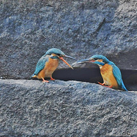 ι�����ǲ�ι��