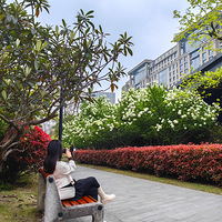 Ǯ���³�CBD��԰ľ����ʢ��   2023.03.31