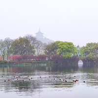 ���£���ã�