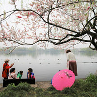 �����һ��죬ĵ����԰��