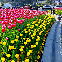 ����·�����������