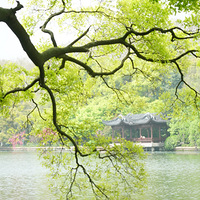 �����һ���