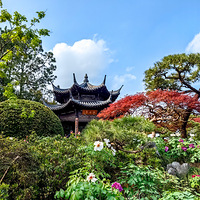 ���۹�԰ĵ������  2023.04.01