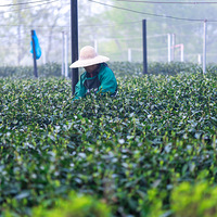 һѿһҶһĨ�㣬һ��һ¨�ɲ�æ������ʮ�����һƷ����