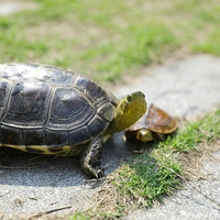 ��ů��������լ��������