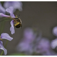 ������   ���ˣ�2��