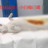 Сè��ռ������͵Ϯ����Ŀ��ˣ����������ȫ��ͨ����ץ���ظµ�