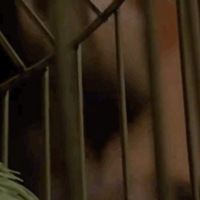 ���ĵ�һ�仰����ɱ�˰���ͻ�ƿڡ������ˣ����㱨���ˣ���