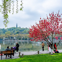 �Һ����̿��׵�