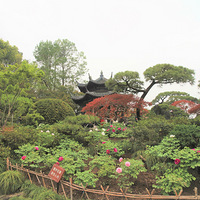 ĵ��ͤǰ��ĵ��