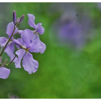 ������   ���ˣ�3��