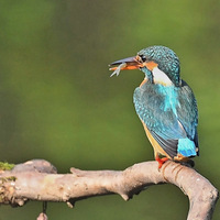 �������