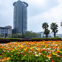 ����Ͻ��