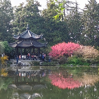 ���۹���羰�续